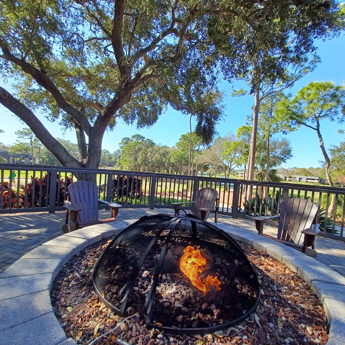 Market Salamander Grille Photos 2